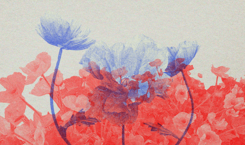 Creating Flower Shapes using clip-path: shape()